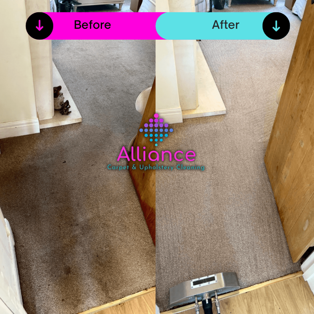 before and after carpet clean