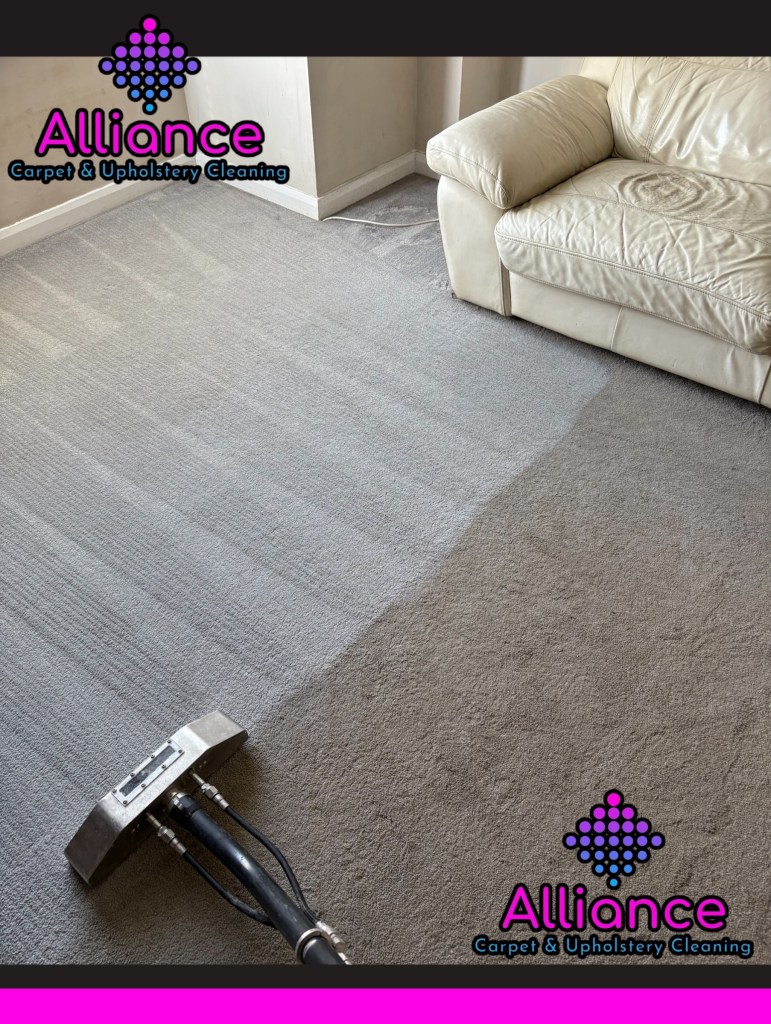 carpet cleaning houghton